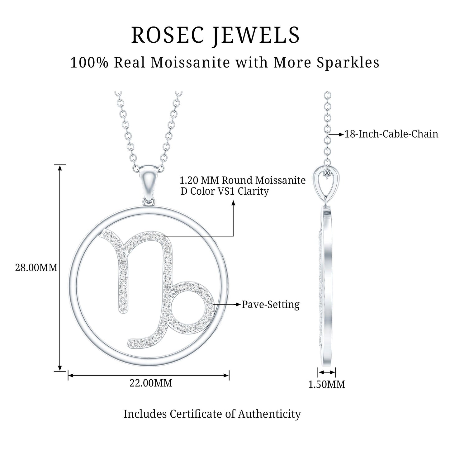 Certified Moissanite Capricorn Zodiac Necklace