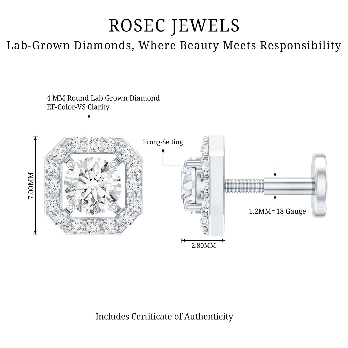 Simple Octagon Shape Diamond Helix Earring