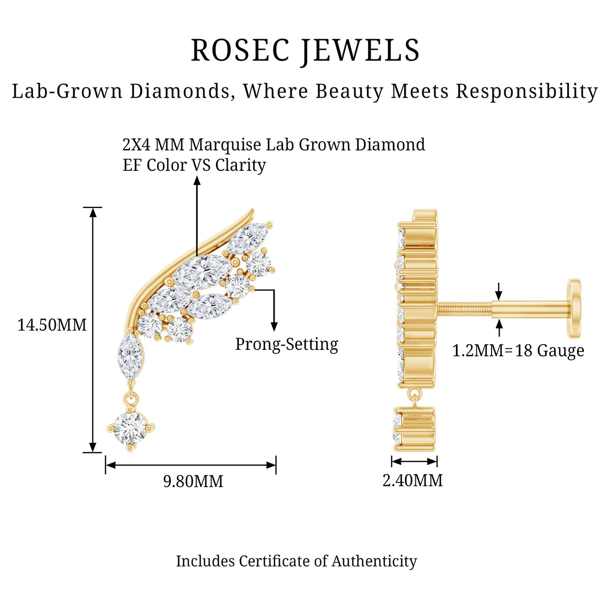 Brilliant Cut Diamond Wing Helix Drop Earring with Flat Back