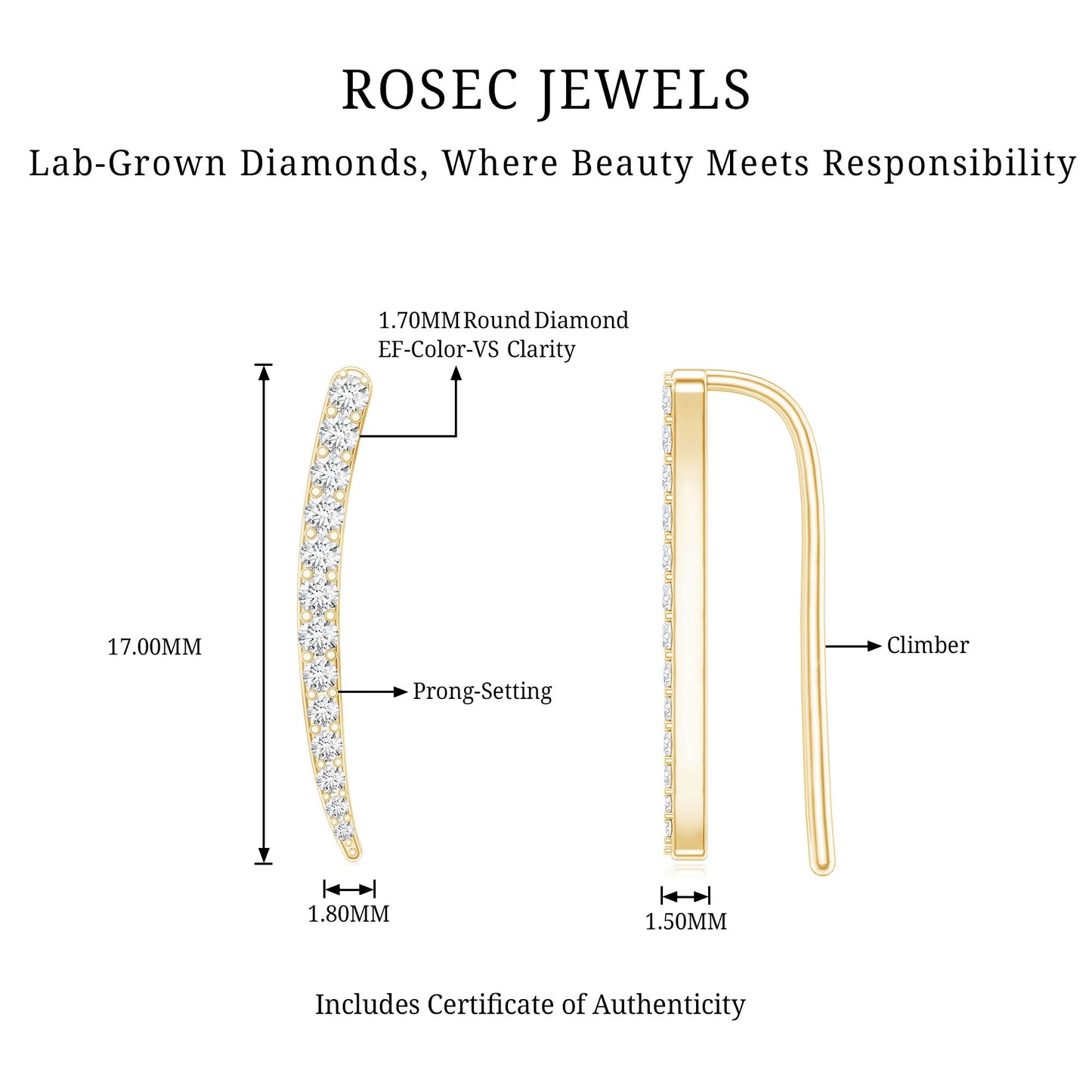 Graduated Style Diamond Climber Helix Earring