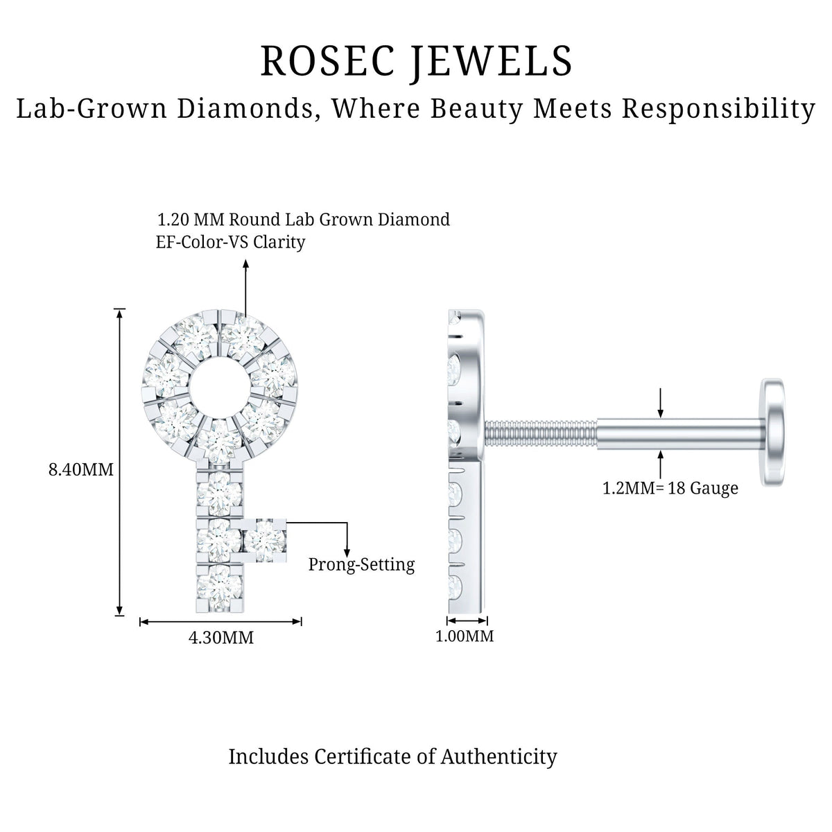 Diamond Key Shape Tragus Earring