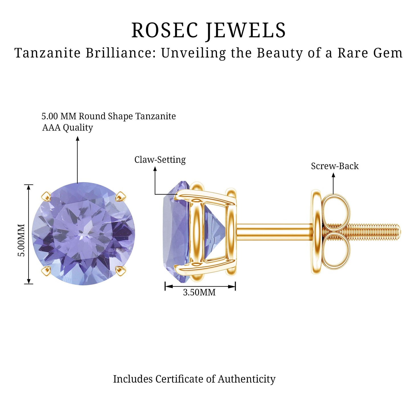 1 Carat Round Cut Tanzanite Stud Earrings for Women