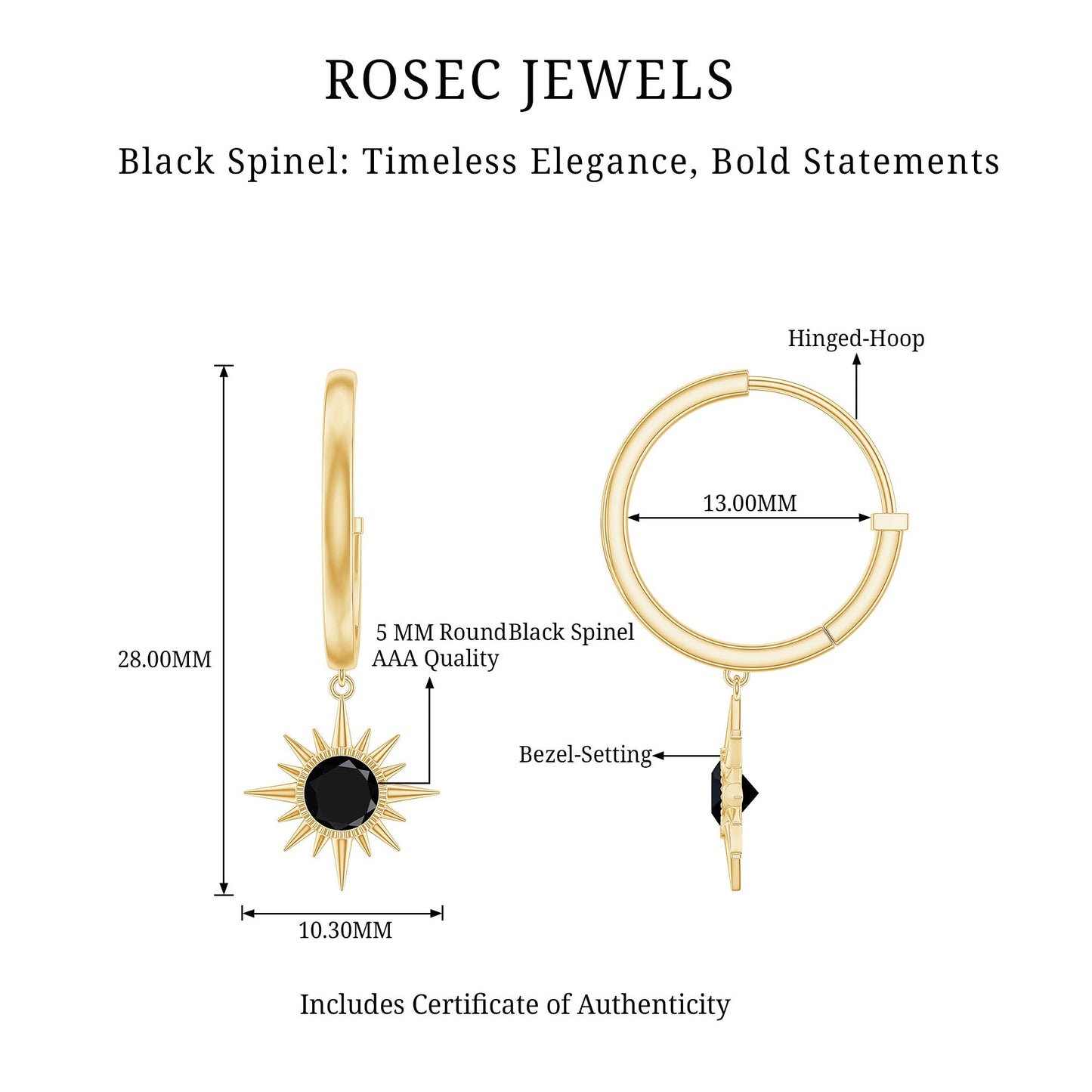 Natural Black Spinel Sunburst Drop Hoop Earrings