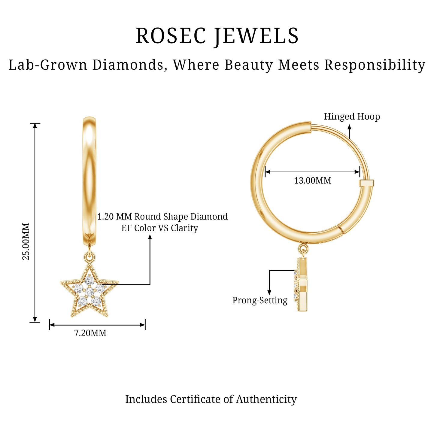 Diamond Star Drop Hoop Earrings