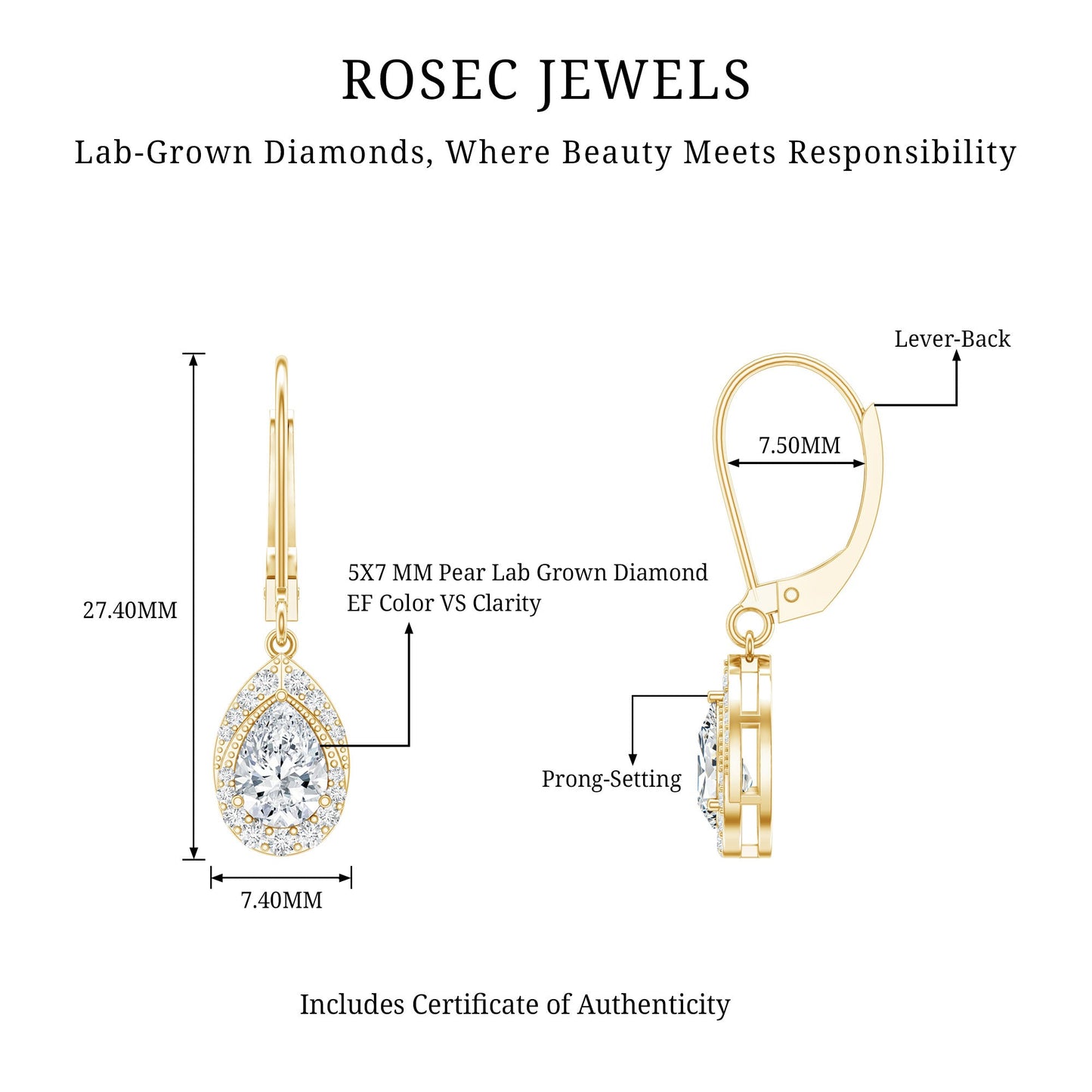 Lab Grown Diamond Drop Dangle Earrings With Lever Back