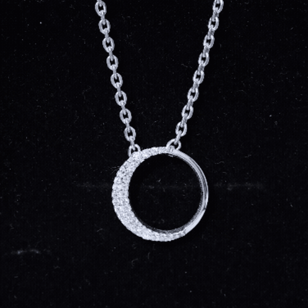 Moissanite Circle of Life Necklace with Silver Chain
