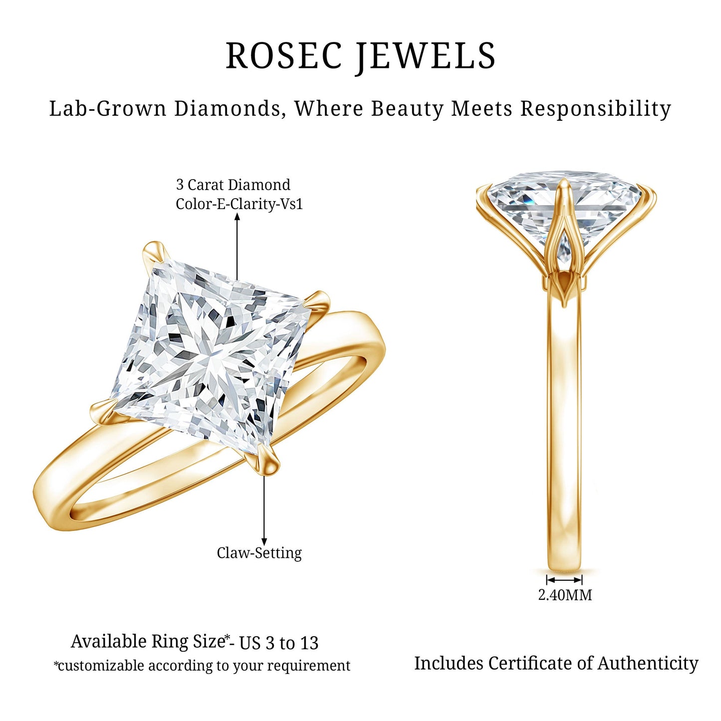IGI Certified Lab Grown Diamond 3 Carat Princess Cut Engagement Ring