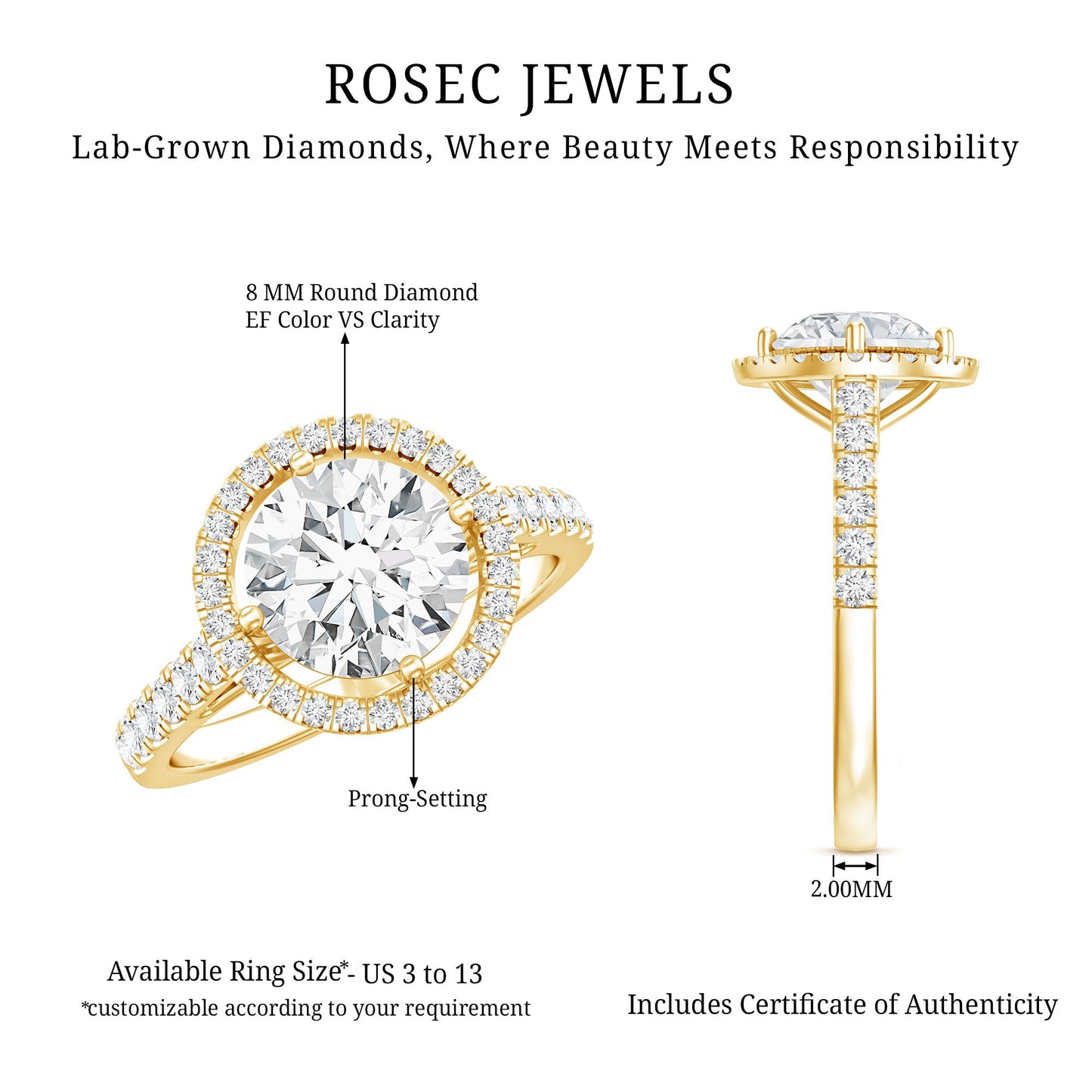 2 Carat Ethical Diamond Circle Engagement Ring